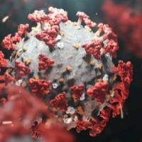 Omicron: How to prevent infection?