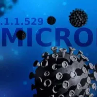 Studies suggest why Omicron is less severe