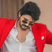 Allu Arjun in Boyapati movie