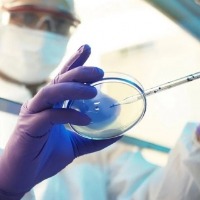 France detects new Covid variant, 12 infected