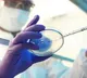 France detects new Covid variant, 12 infected