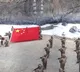 Chinese Army Hoisted Flag In Galwan Valley