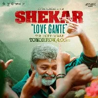 First single from Sekhar will release tomorrow