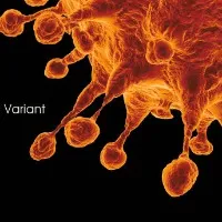 Seven more Omicron positive cases identifies in AP