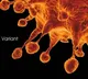 Seven more Omicron positive cases identifies in AP