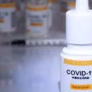 Bharat Biotechs nasal covid booster dose gets approval for trials