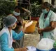 central government release new guidelines on covid