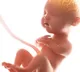 Pandemic may affect infants brain development