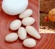 Eggs in the size of grapes Kerala hen takes internet  viral