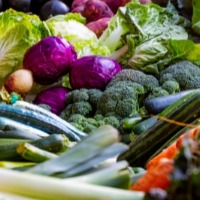 Global food prices up 28.1% in 2021: FAO