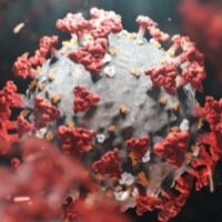 400 Parliament staffers test Covid positive