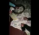 Business Man Hides Cash In Under Ground Water Tank