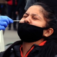 Telangana reports below 2,000 Covid cases for second day