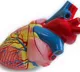 IIT Kanpur set to make artificial heart