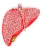 How Covid infection affects your liver