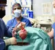 US doctors transplant full live pig heart into human patient