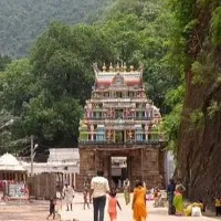 ahobilam devotee attacked by leopard