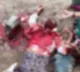 murder in guntur