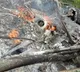 Bipin Rawat helicopter incident cause revealed