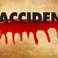 Three killed in Andhra road accident