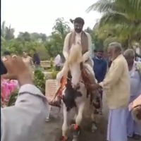 balakrishna video goes viral