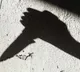 Woman stabbed lover in Hyderabad