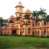 BHU scientists find cure for chronic wounds