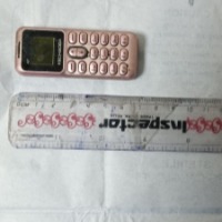 Doctors remove mobile phone swallowed by Tihar inmate