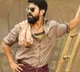 Hindi version of 'Pushpa' director's 'Rangasthalam' set for Feb release