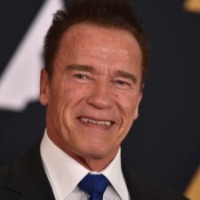 Arnold Schwarzenegger unharmed, woman injured in car crash