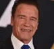 Arnold Schwarzenegger unharmed, woman injured in car crash