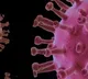 Corona virus no more Pandemic in future said IHME