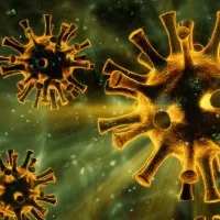 Andhra Pradesh corona update