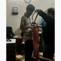 Snake in Bombay High Court Judge Chamber