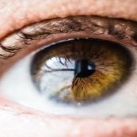 90% people lost some degree of vision due to pandemic: Experts