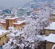 Forty two people dead in Afghanistan due to extreme snowfall