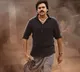 Bheemla Naik premier shows on February twenty fourth