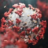 New Zealand announces 3-phase public health response to Omicron