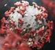 New Zealand announces 3-phase public health response to Omicron