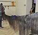 Dgft Curbs On Raw Human Hair Exports