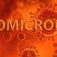 Omicron not result of recombination between previous variants: Study