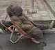 Faced with starvation, Afghans sell kidneys: Report