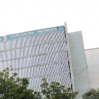 SBI withdraws circular on pregnant womens' employment eligibility