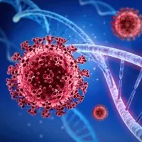 Neo Cov a new virus in the fray