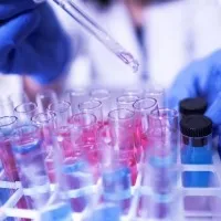 Telangana corona cases