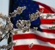 Registration for H1-B visas for FY23 to begin in March: US
