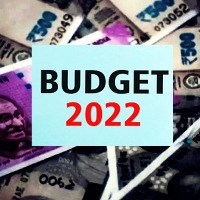 Budget specifies customs duty change on several items