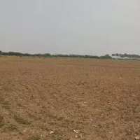 AP Govt Increases Land Market Values