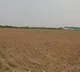 AP Govt Increases Land Market Values
