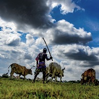 No proposal for National Agriculture Disaster Management Scheme: Govt